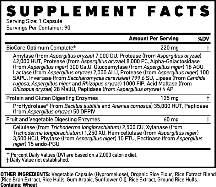 GHOST Ghost Basics - Digestive Enzymes 90 Caps 90 Capsules Digestive Enzymes