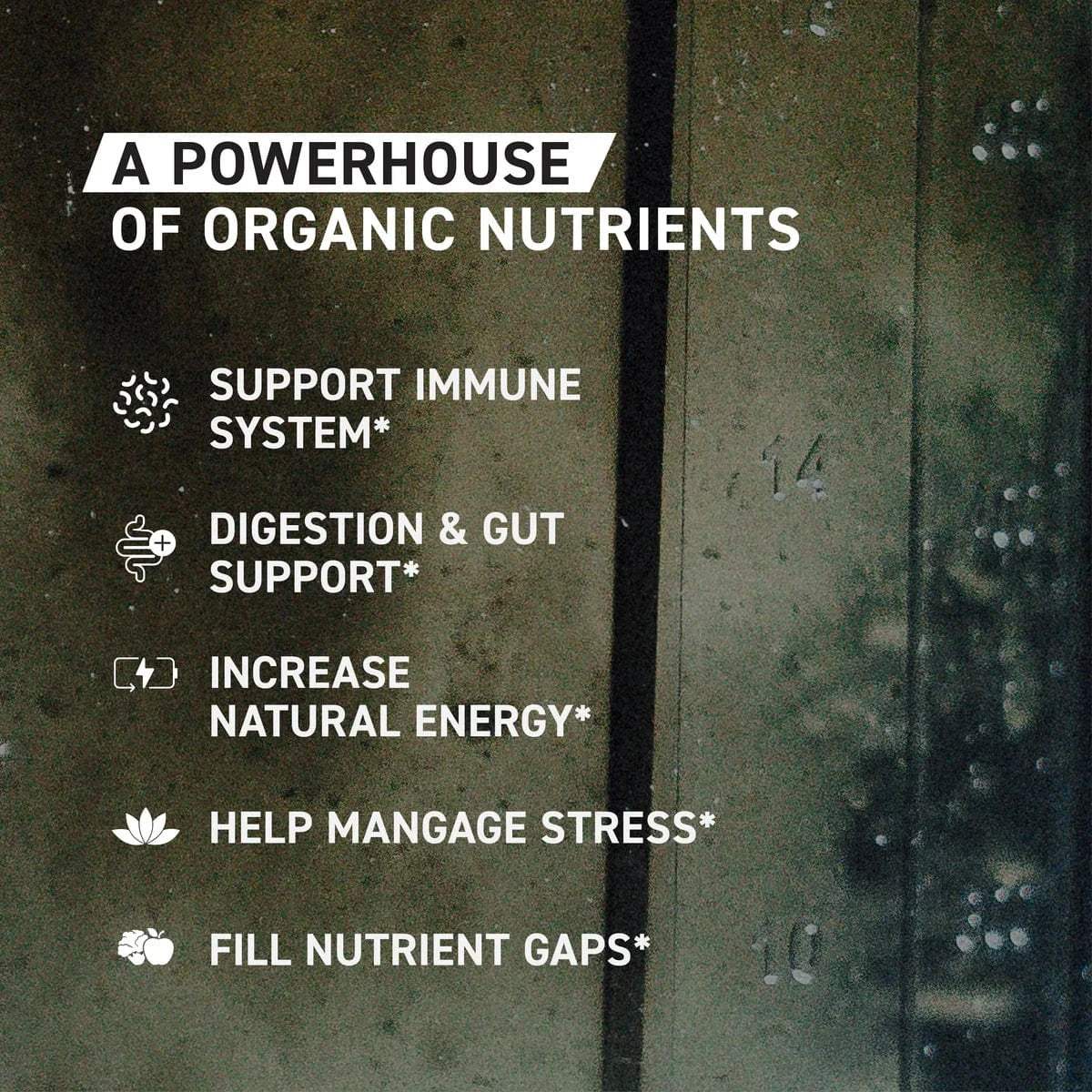 Kaged Muscle Organic Greens (Outlive 100) Organic Superfoods + Greens Blend